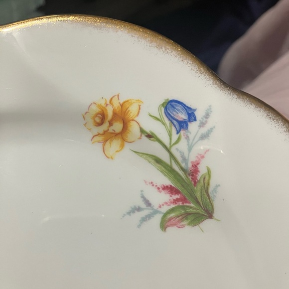 Vintage Salisbury Fine Bone China Floral 8" Plate England - Picture 11 of 15
